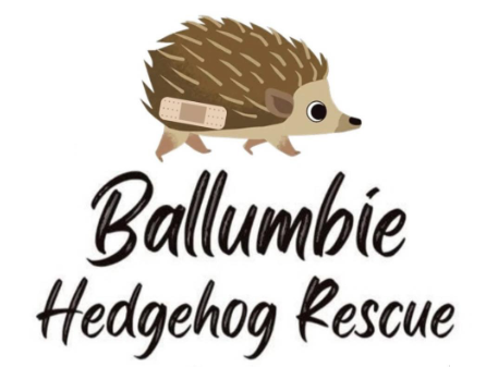 Ballumbie Hedgehog Rescue